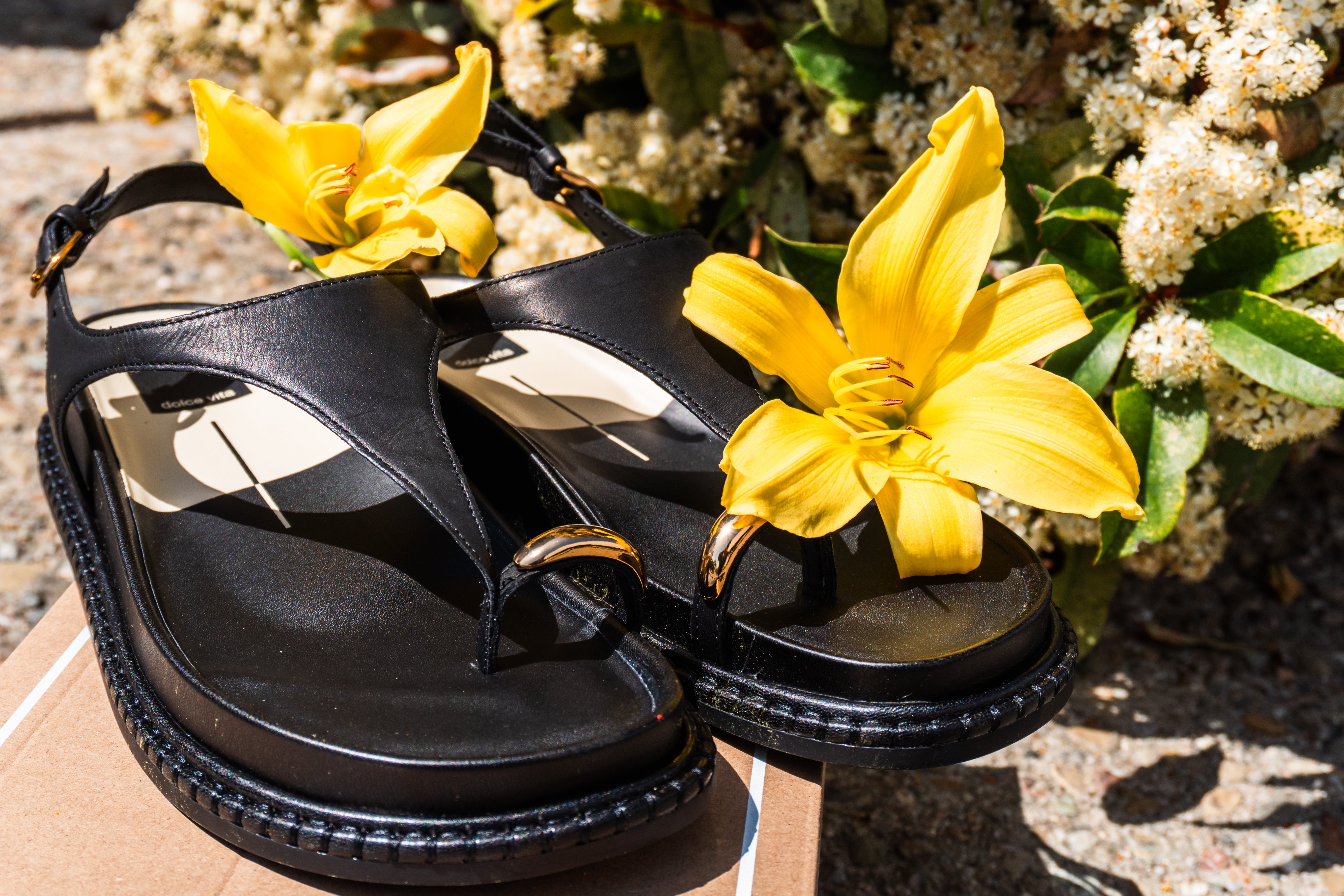 Dolce Vita Has Arrived at Hansen’s Shoes – Shop Spring Sandals & Heels