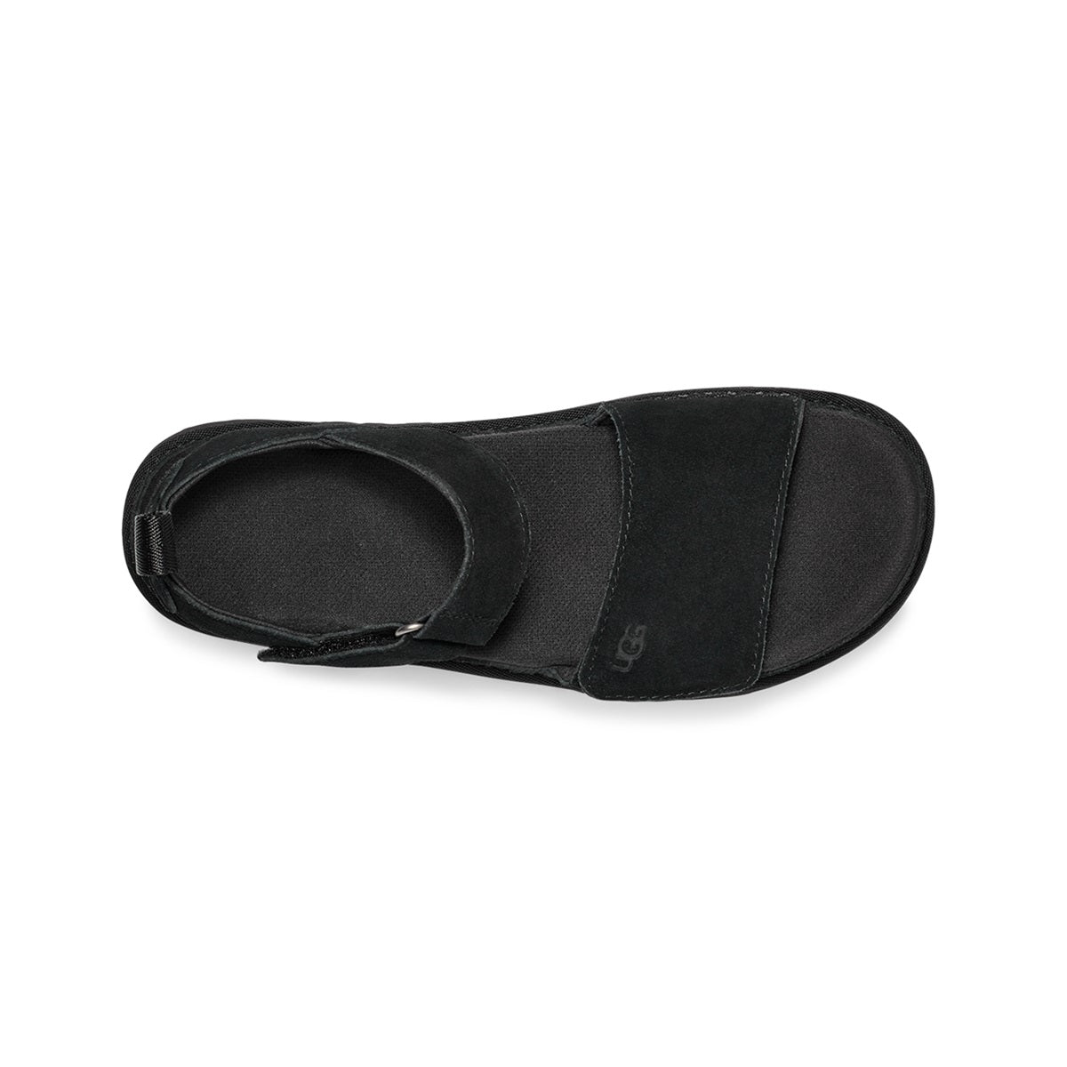 Goldenstar (Black)