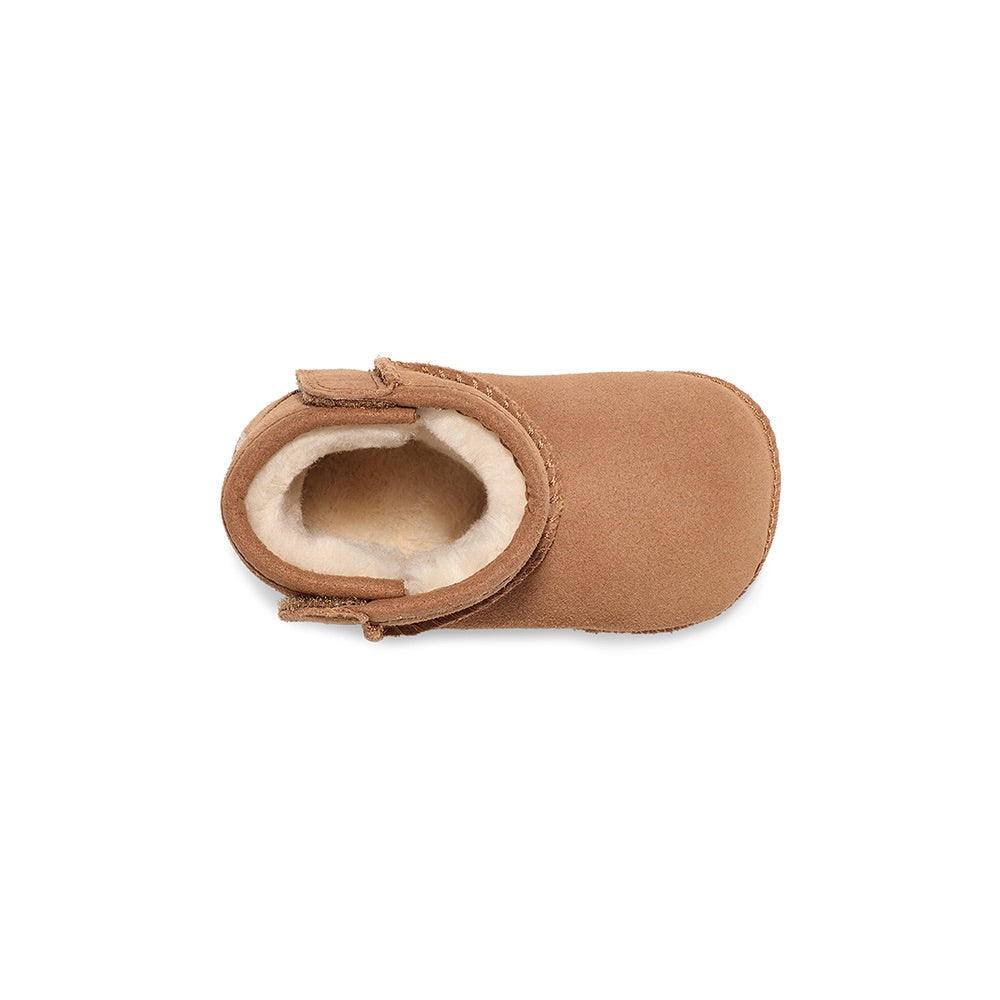 Baby Classic (Chestnut) top