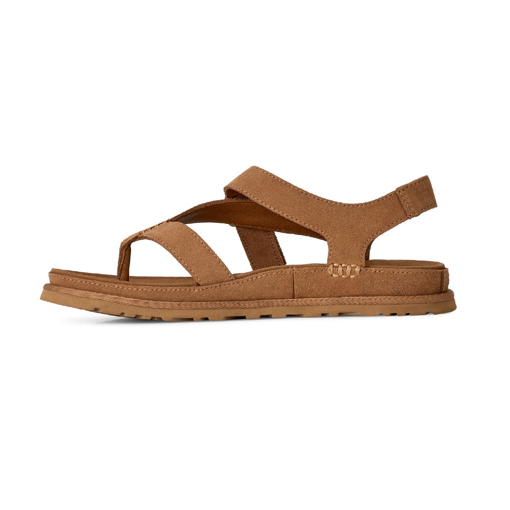 Women's Goldengaze Toe Post (Chestnut) other side