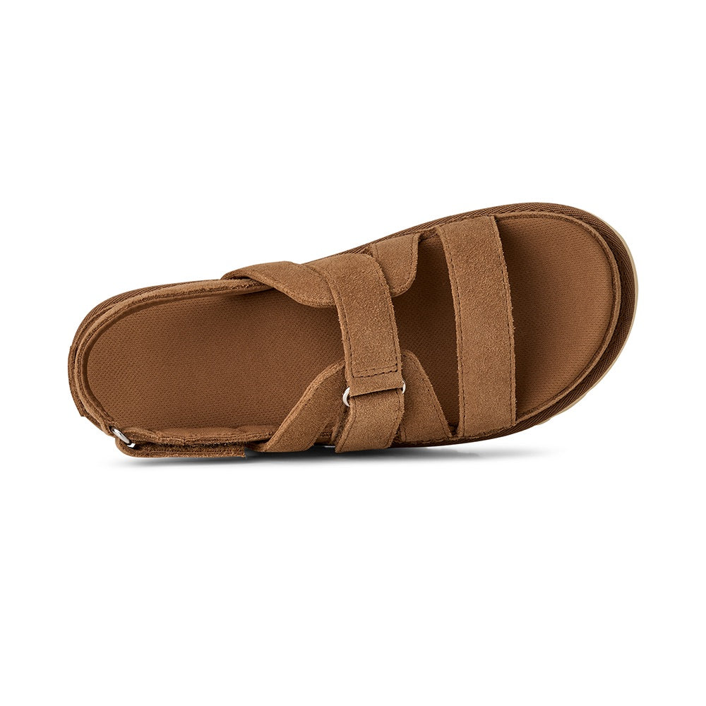 Women's Goldenstar Gleam (Chestnut) top