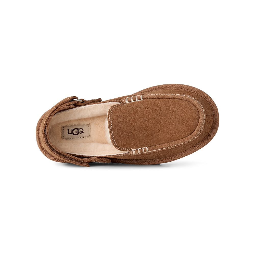 Kid's Goldenstar Clog Evelina (Chestnut) top