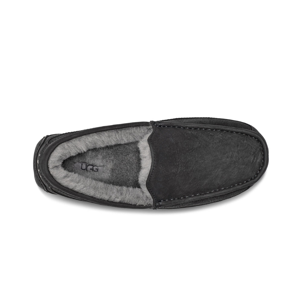 Men's Ascot (Black)