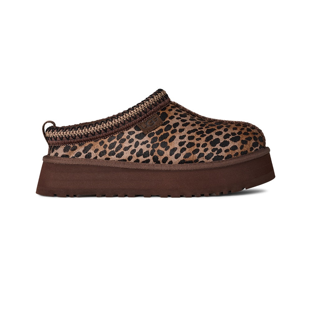 Tazz Caspian (Burnt Cedar) side